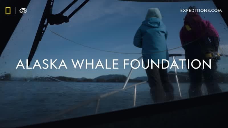 Lindblad Expeditions-National Geographic Fund Spotlight: Alaska Whale Foundation - Video