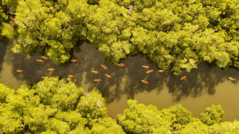 The 25 Best Expedition Photos of 2025 - Article