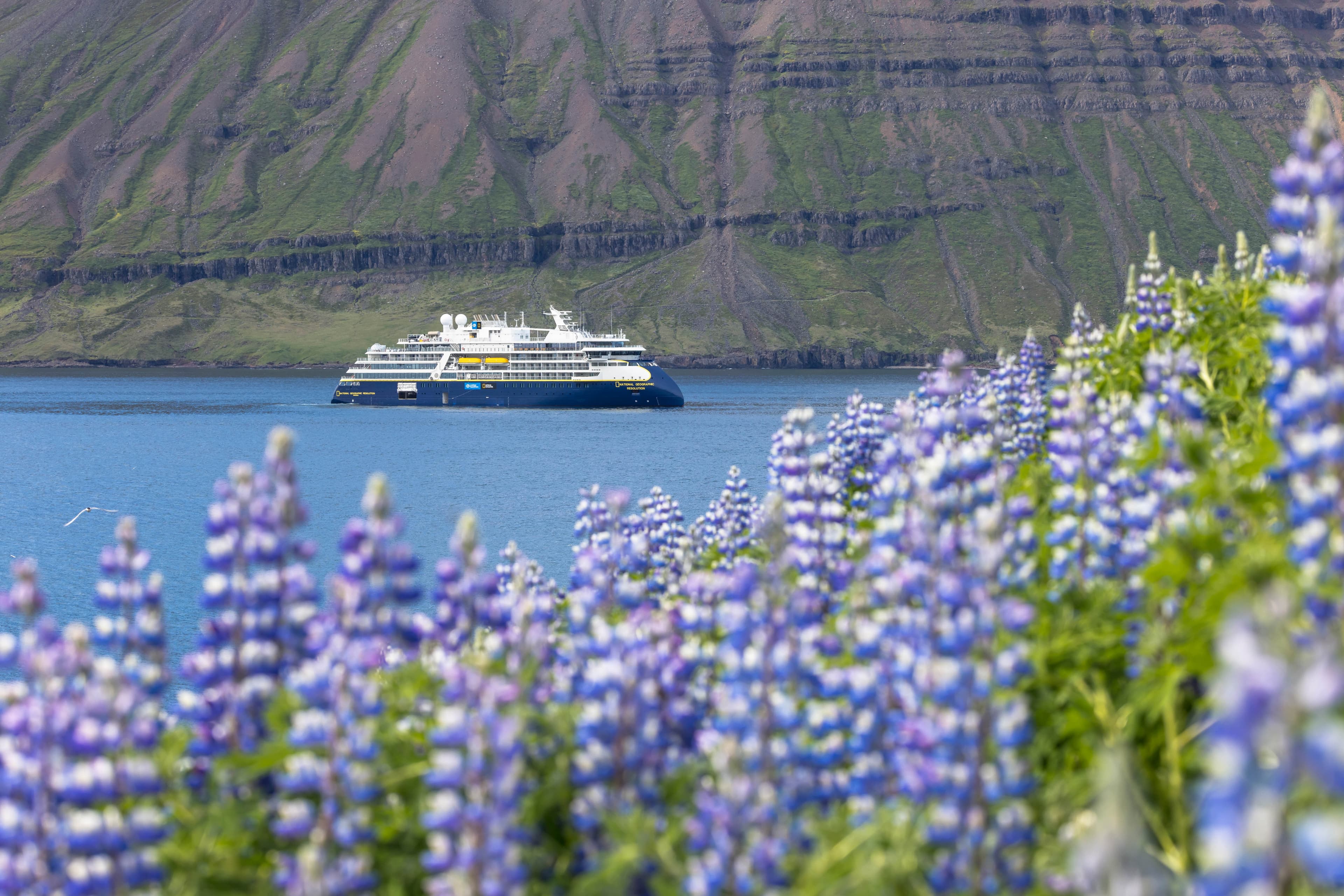 Large RGB-LEX-Iceland Seydisfjordur Eastern Region APAP220616-0427.jpg