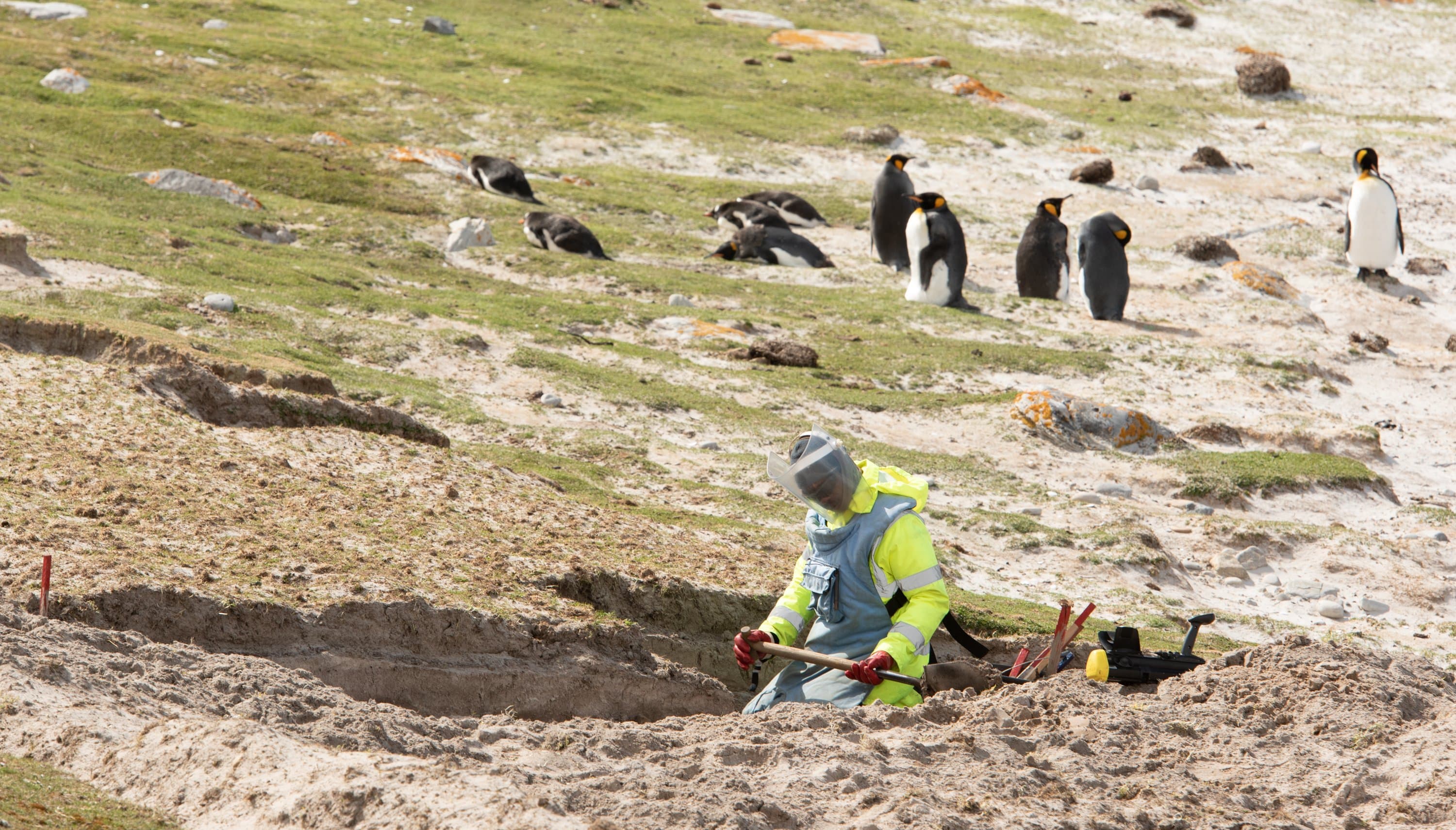 Hero Image Eric Guth_Falklands_Landmines-3.jpg