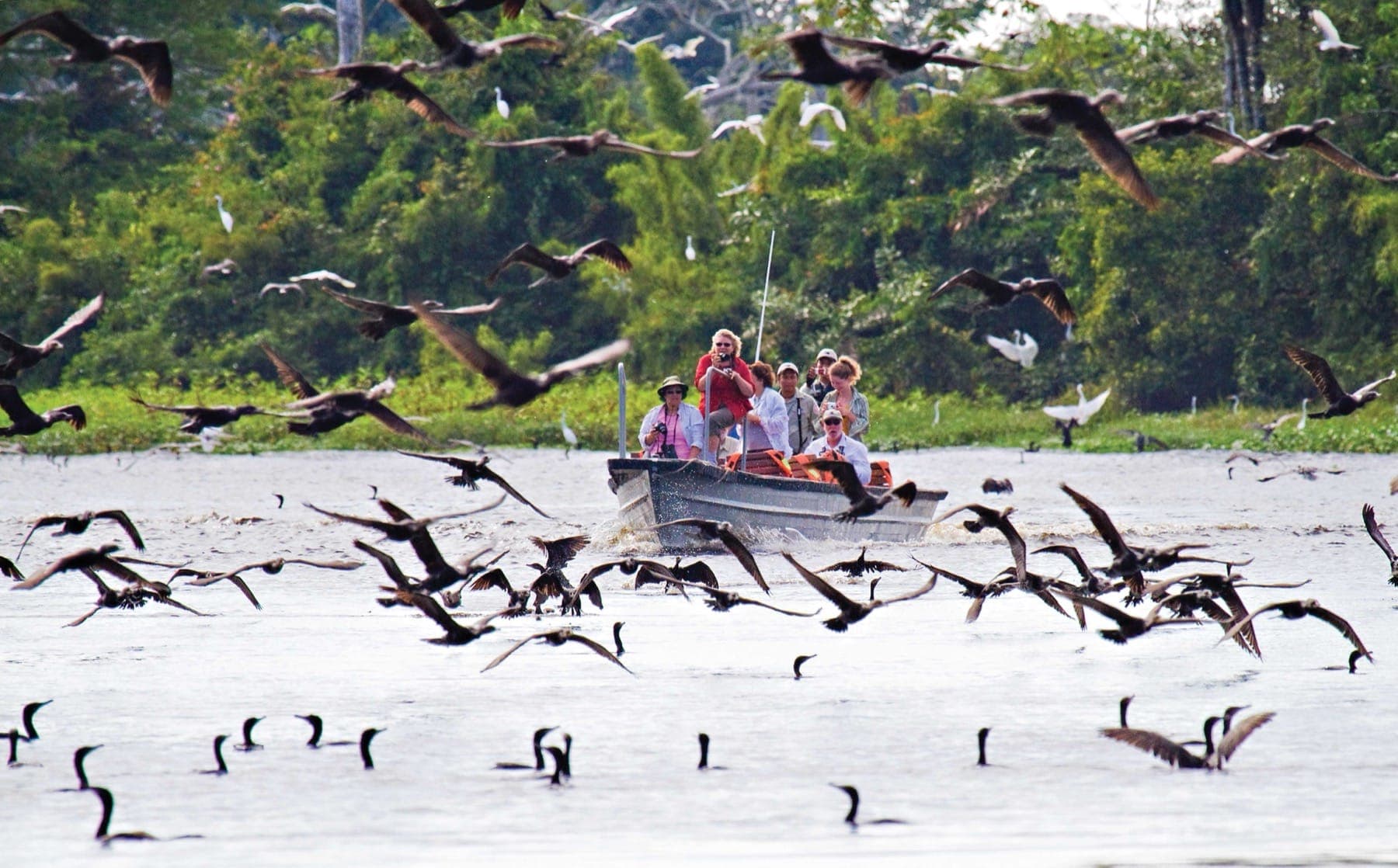 Richard Maack_Amazon_AZ063.jpg