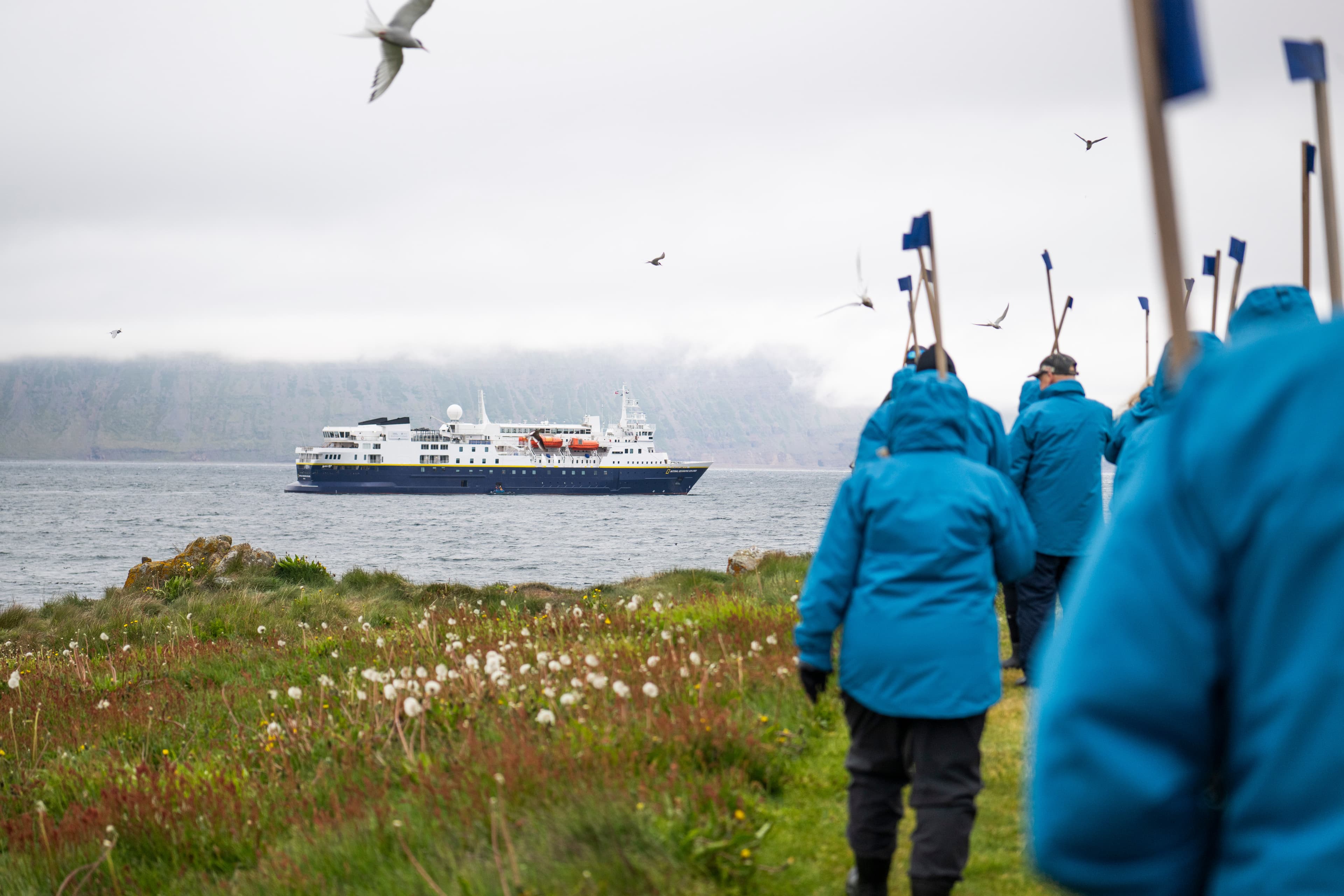 Iceland Vigur Island Westfjords - Ship NG Explorer Exterior - DV199