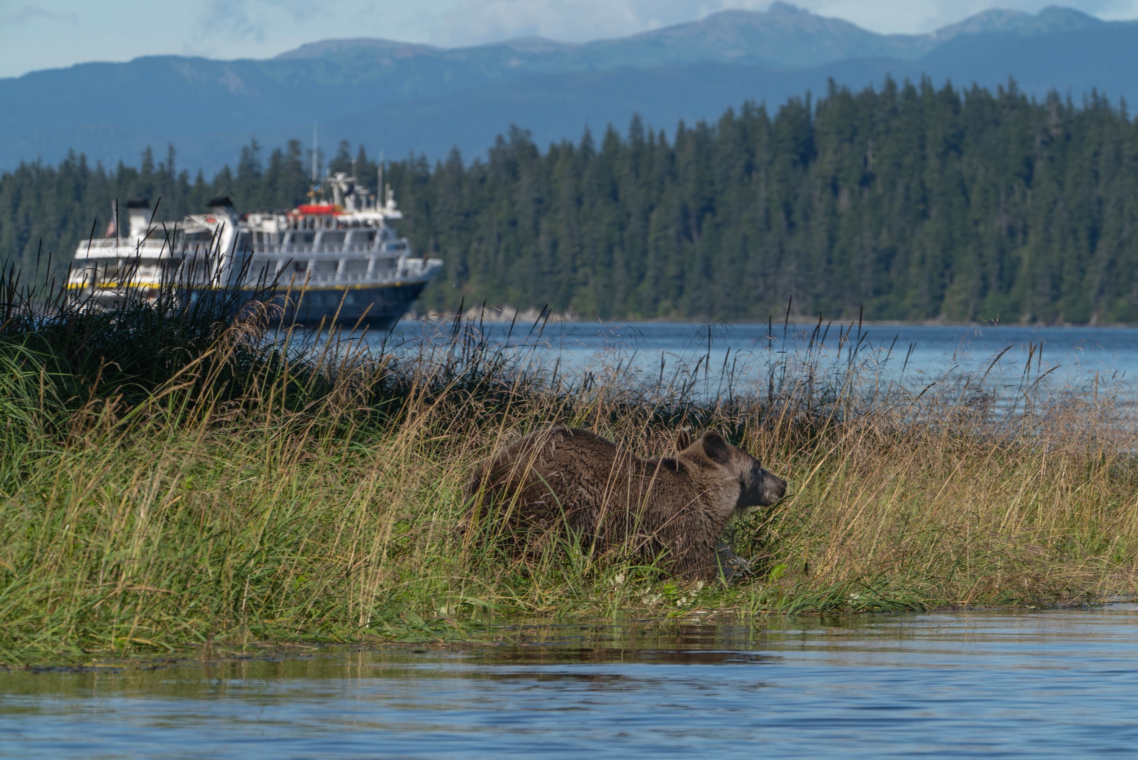 USA SL22532 Kelly CourseyGray 812