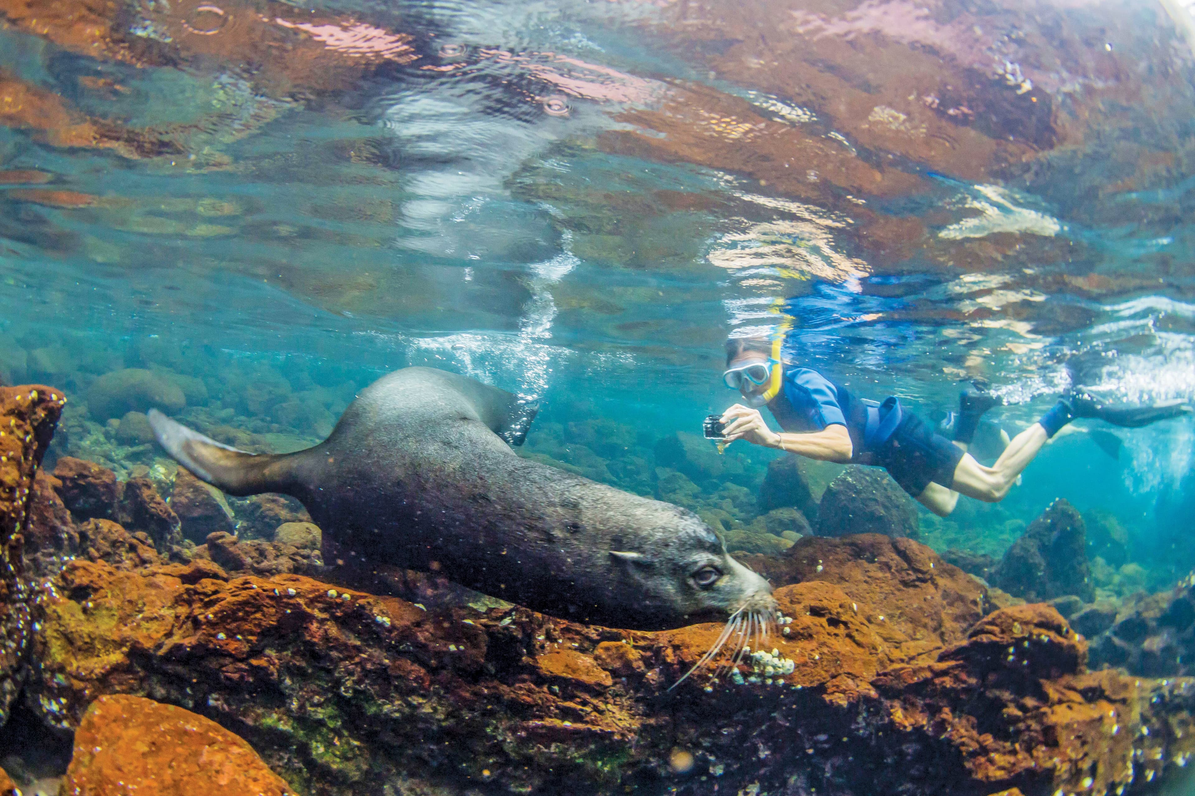 Large RGB-LEX-Ecuador Galapagos Islands MSN-EC-726.jpg