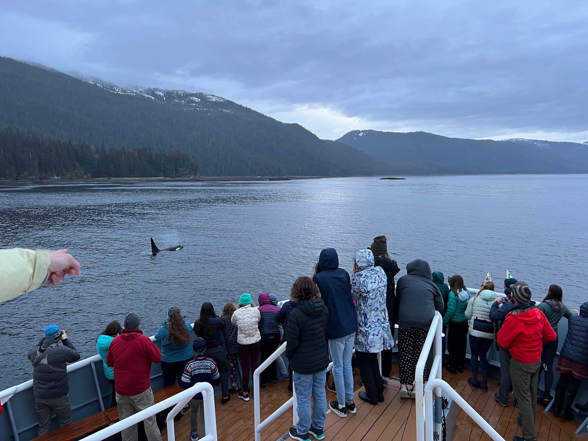 PP Orca Sighting Alaska.JPG