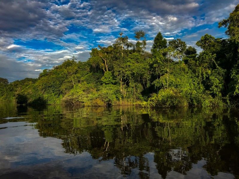 Ucayali River, Peruvian Amazon | 1-5-2019 | Delfin II | Lindblad ...