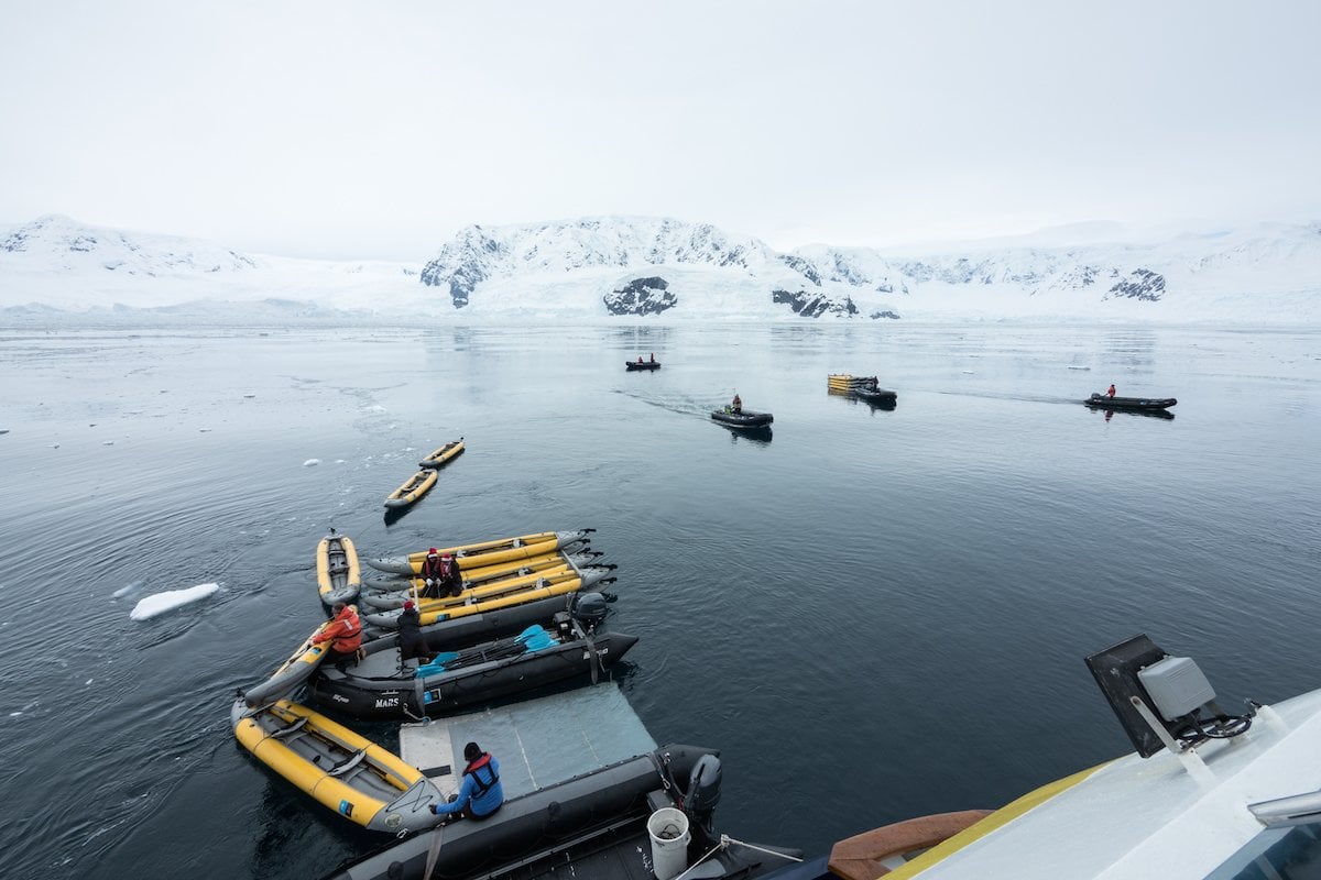 Lindblad Cove And Whalers Bay 12 24 2018 National Geographic Orion