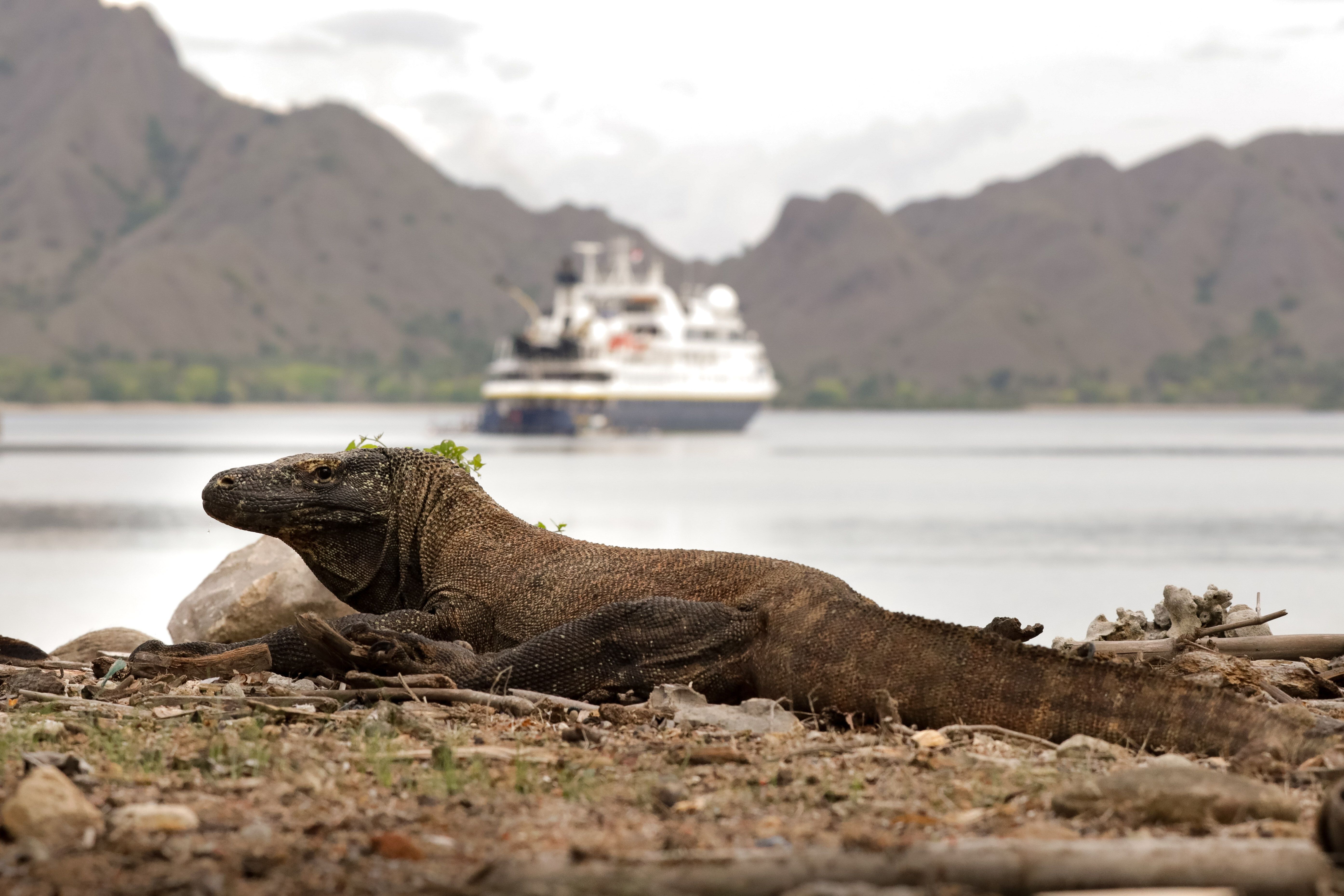 Komodo National Park and Pink Beach  10-25-2022  National Geographic Orion  Lindblad Expeditions