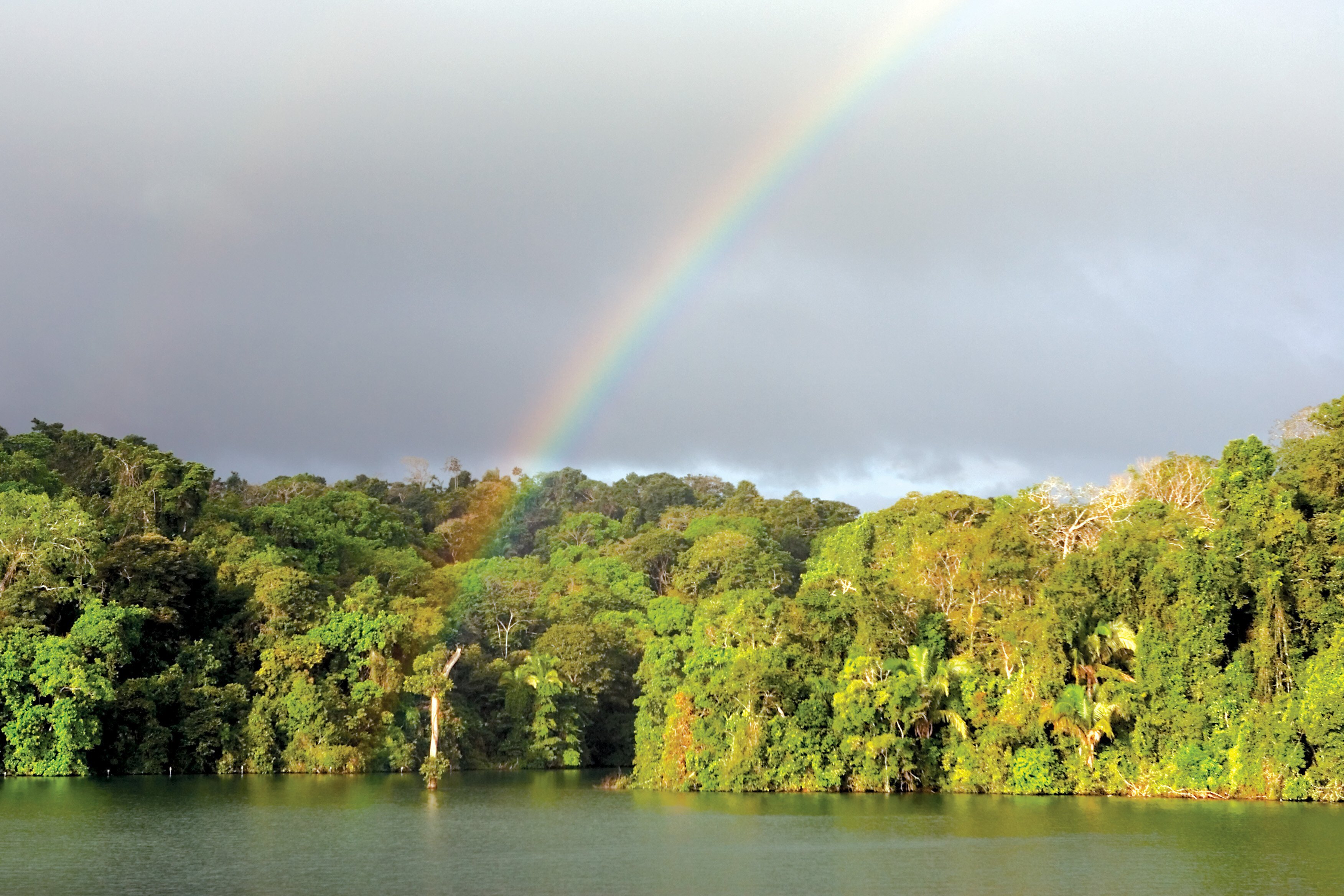 Get to Know Barro Colorado Island, Home to the Smithsonian Tropical ...