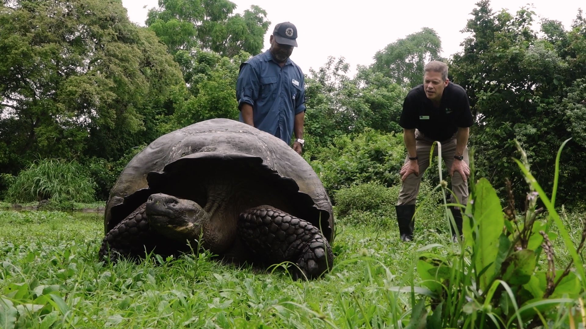 Dolf Berle visits the Galápagos Islands | Lindblad Expeditions