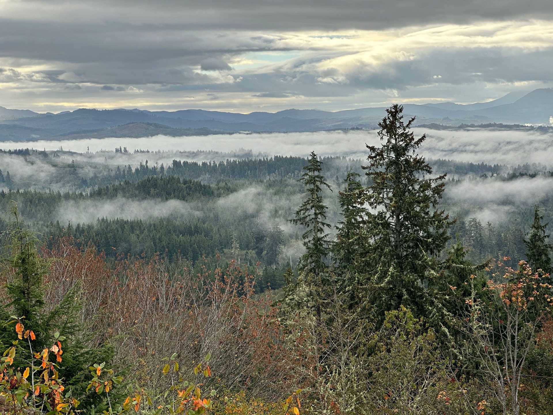 autumn landscape in Astoria, Oregon