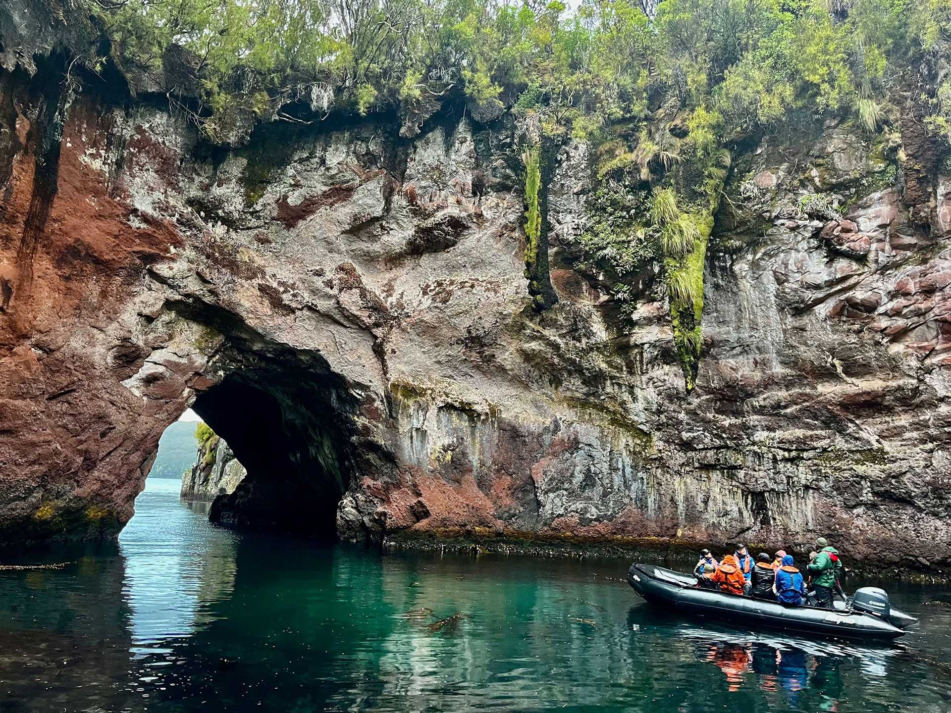 a zodiac cruises past a large cliff covered in vegetation