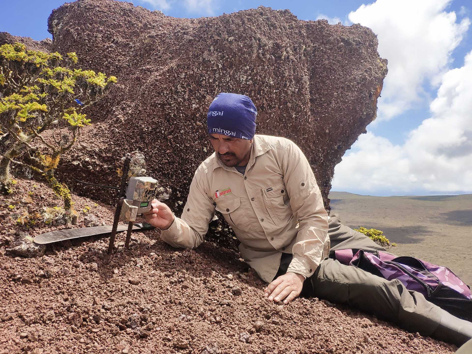 Image009.A researcher from Fundación de Conservación Jocotoco measures ground readings in Galápagos.