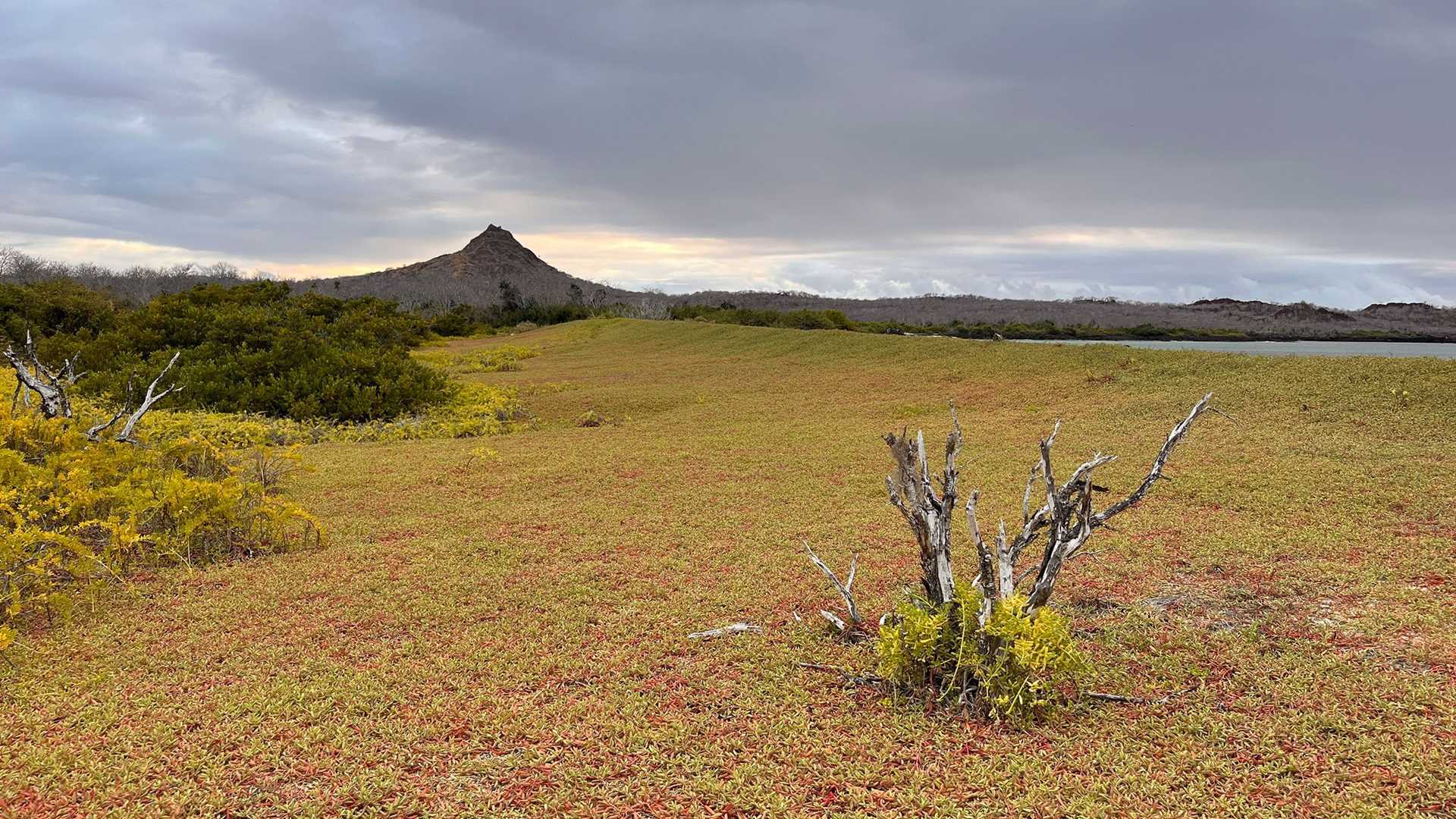 dragon hill in the galapagos