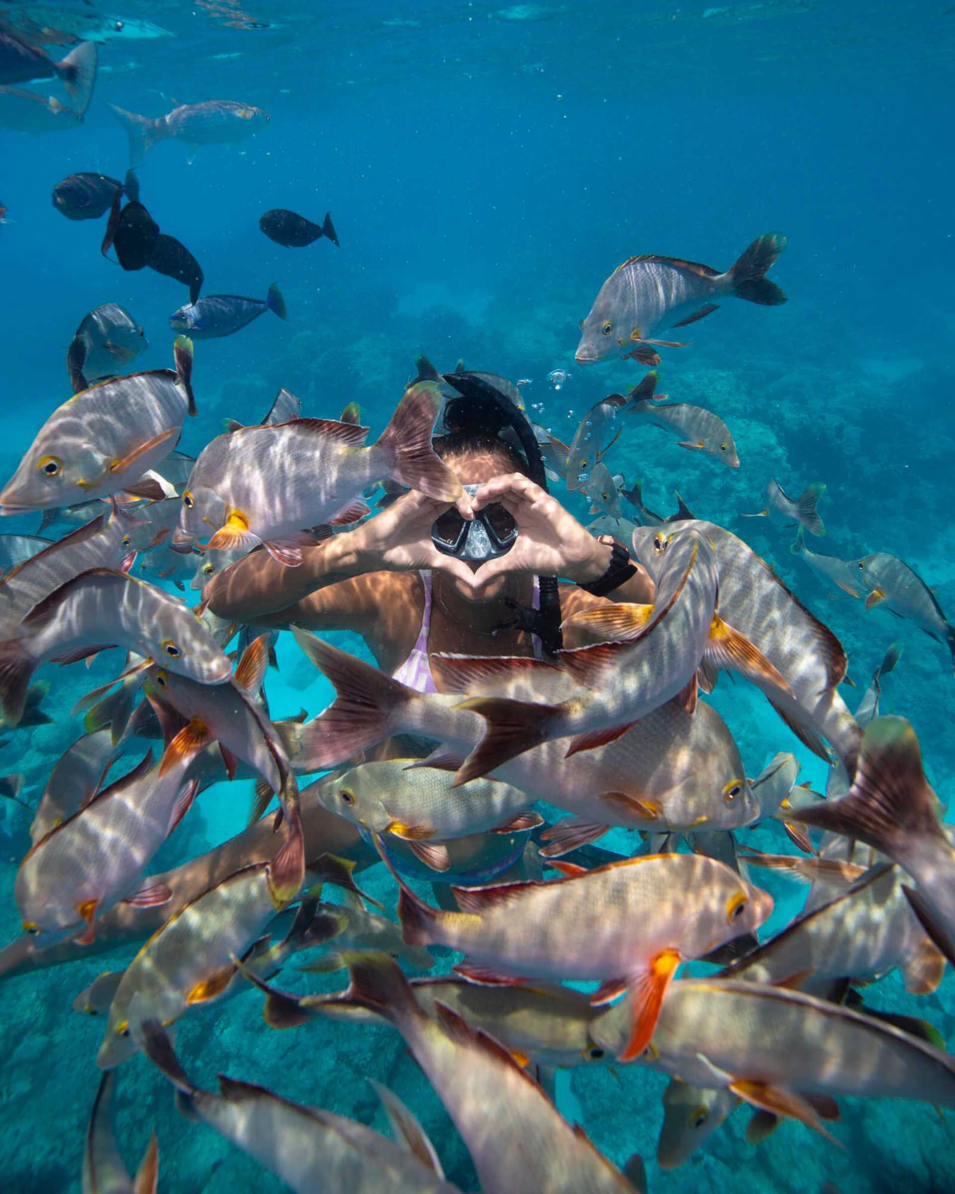 a snorkeler making heart-hands underwater