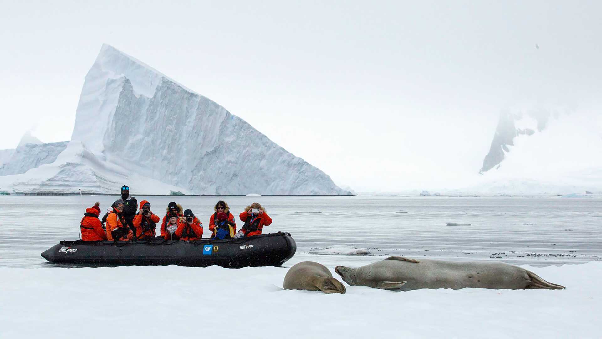 people in red parkas sit in a zodiac and take photos of a crabeater seal