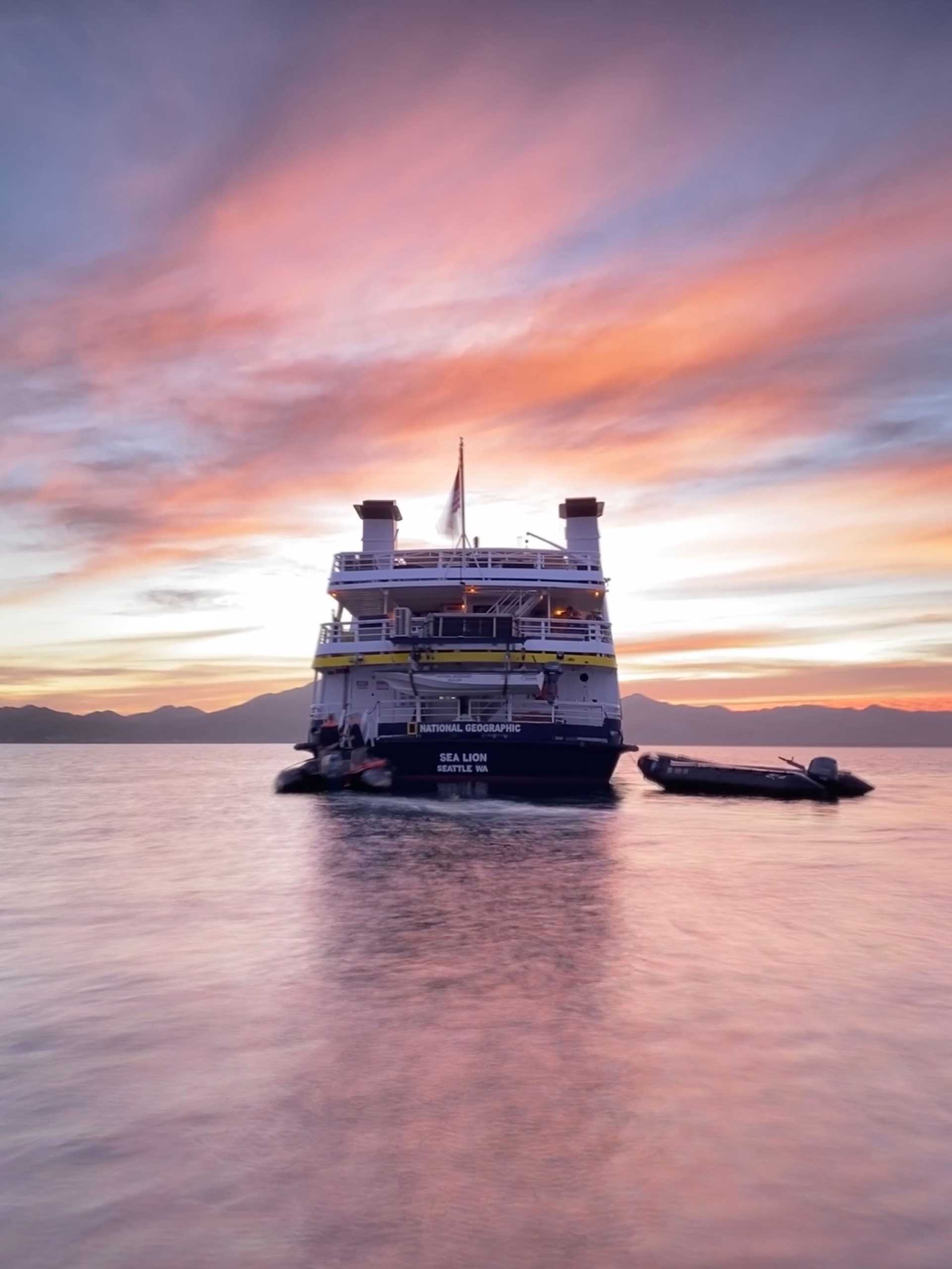 national geographic sea lion at sunset