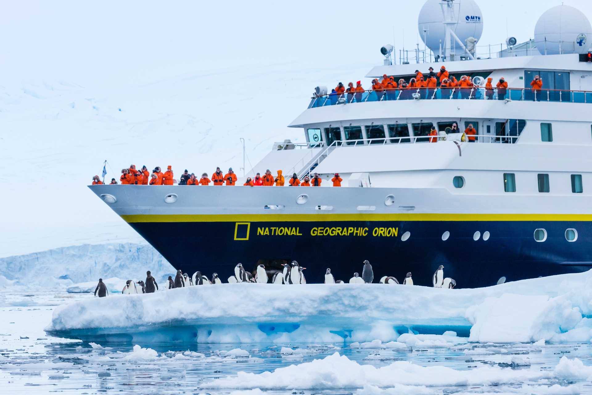 Guests on the bow of the National Geographic Orion photograph gentoo penguins on an ice floe.