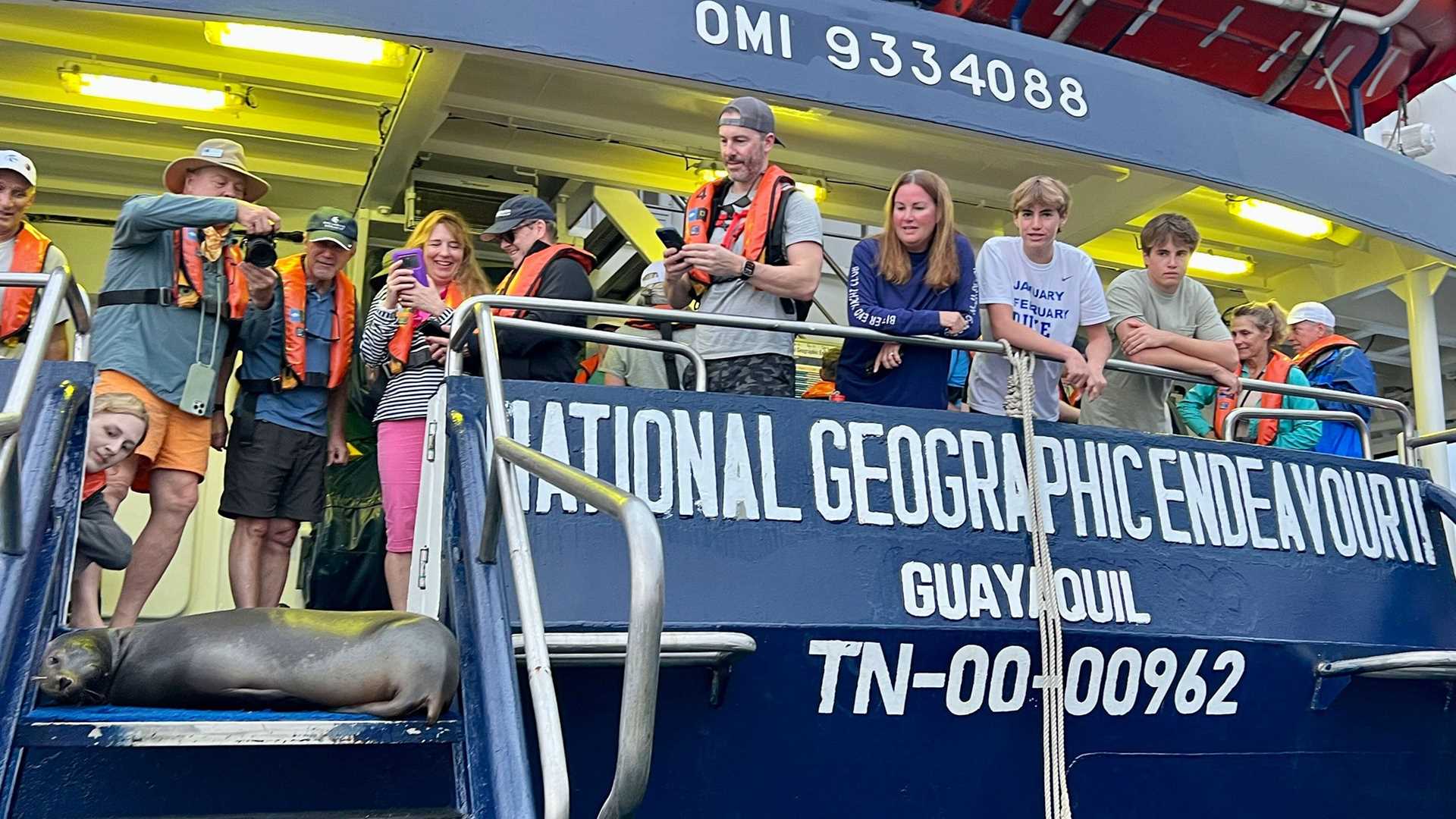 a sea lion naps on the back deck of a ship while guests look on