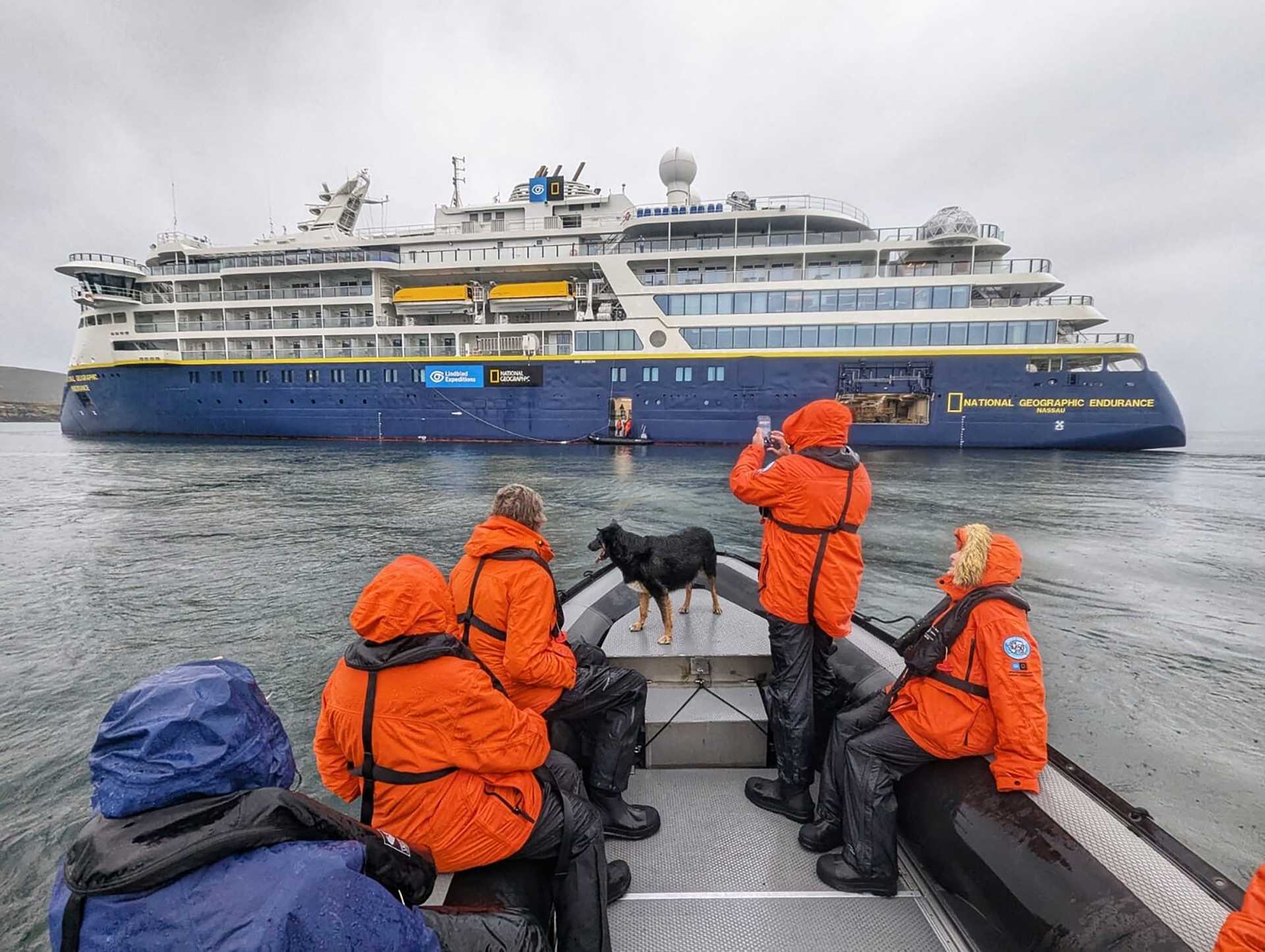 a dog riding on the front of a zodiac