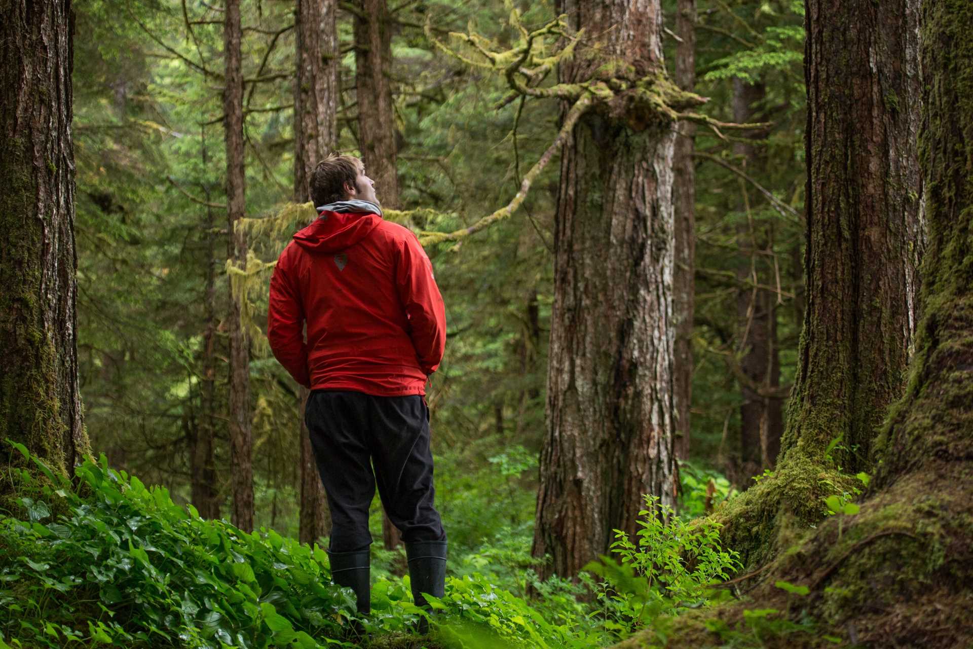 A man stands in a temperate forest in Alaska.