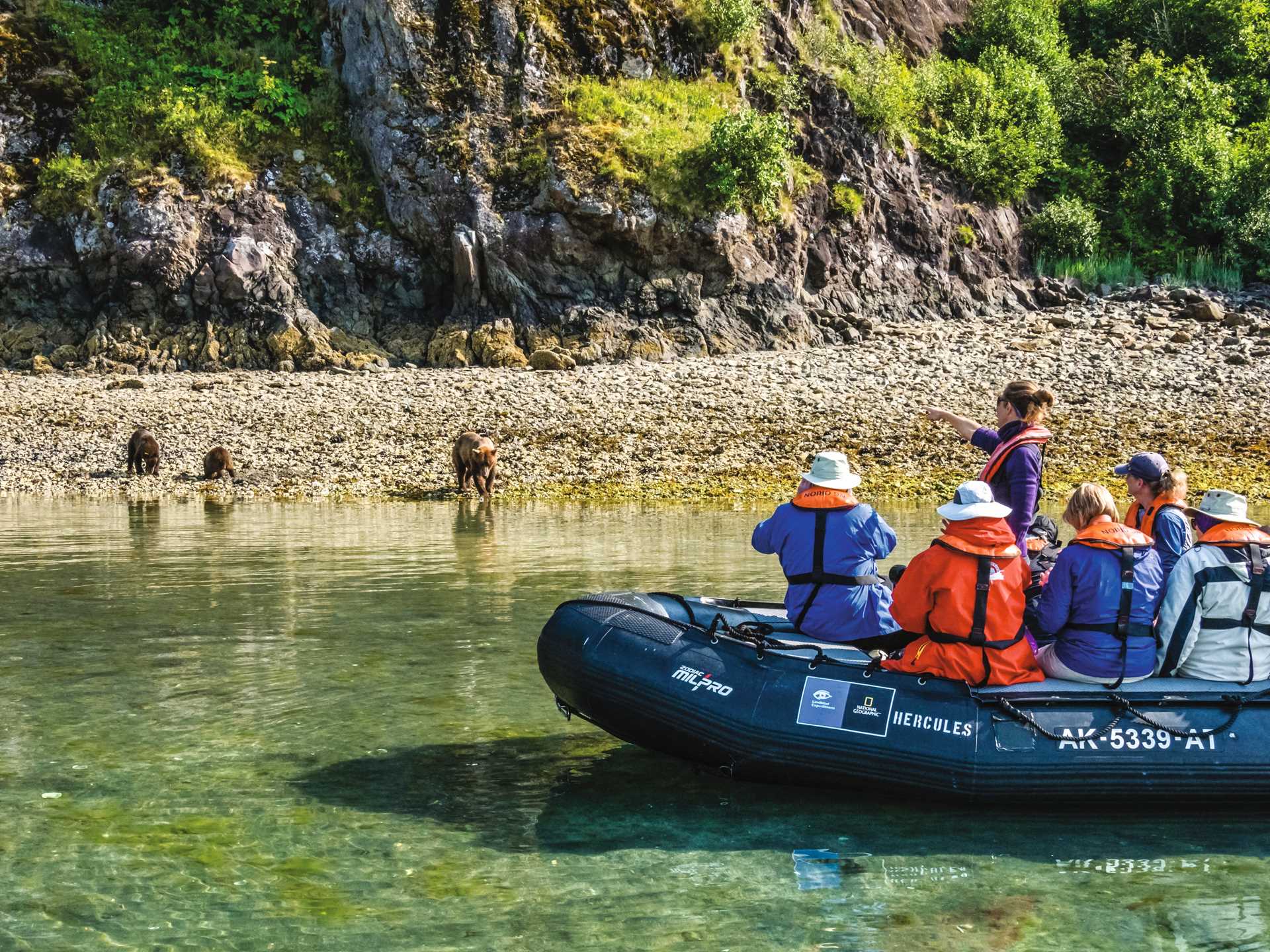 Guests watching Coastal Brown Bears from a Zodiac in Geographic Harbor, Katmai National Park, Alaska, USA