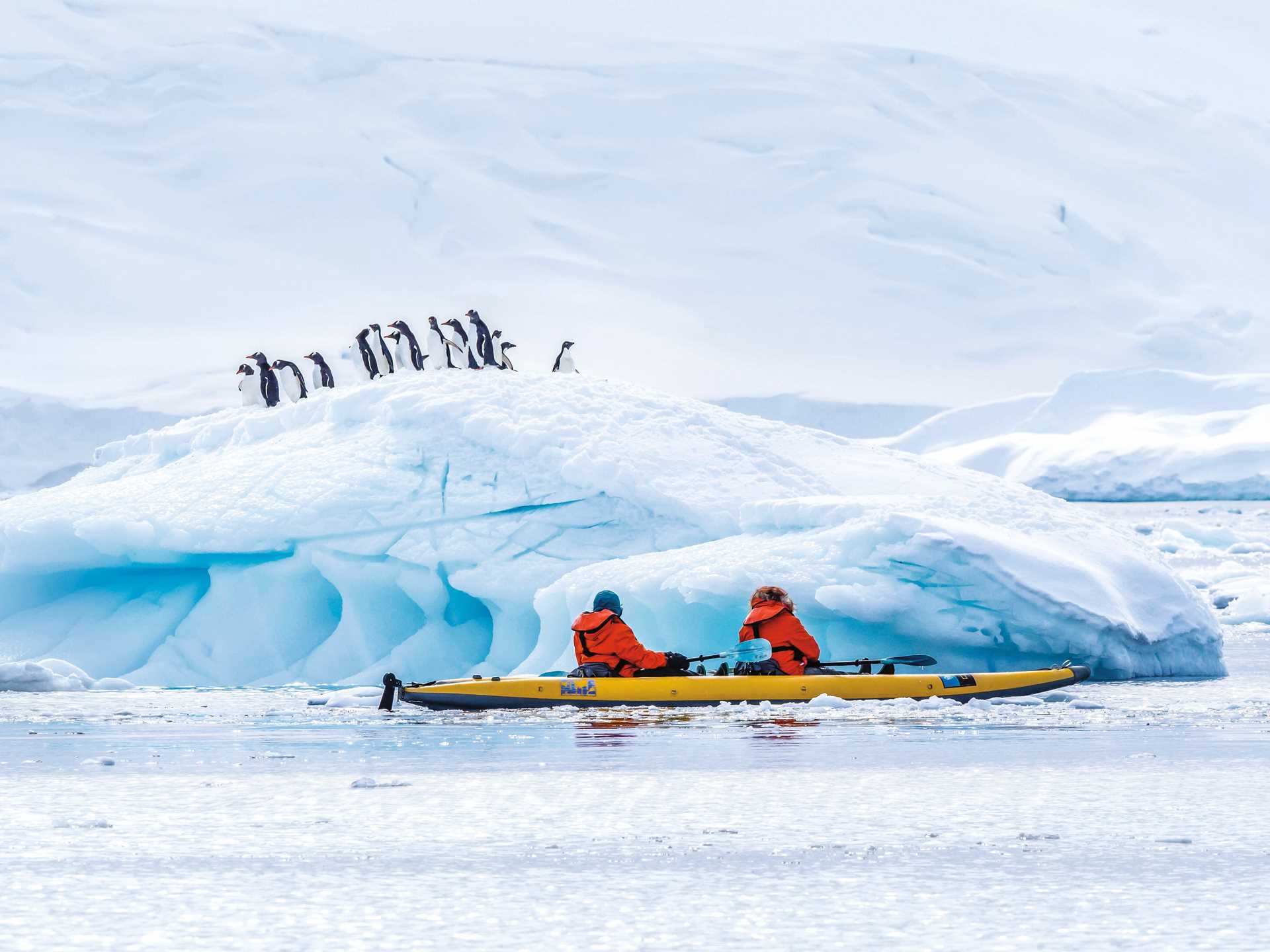 Kayakers observe gentoo penguins atop an iceberg in Lindblad Cove, Trinity Peninsula.